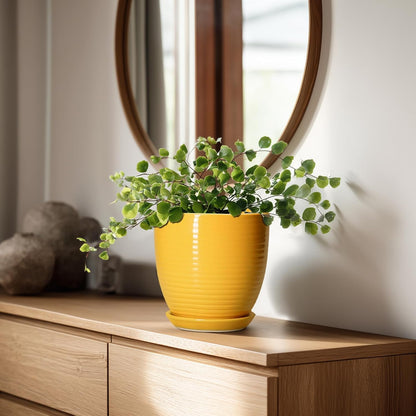Ceramic Pots for Plants - 6 Inch Plant Pot with Drainage Hole and Saucer, Round Planters for Indoor Outdoor, Flower Pots, Modern Planter, Home Office Room Decor, Gifts for Plant Lovers, White