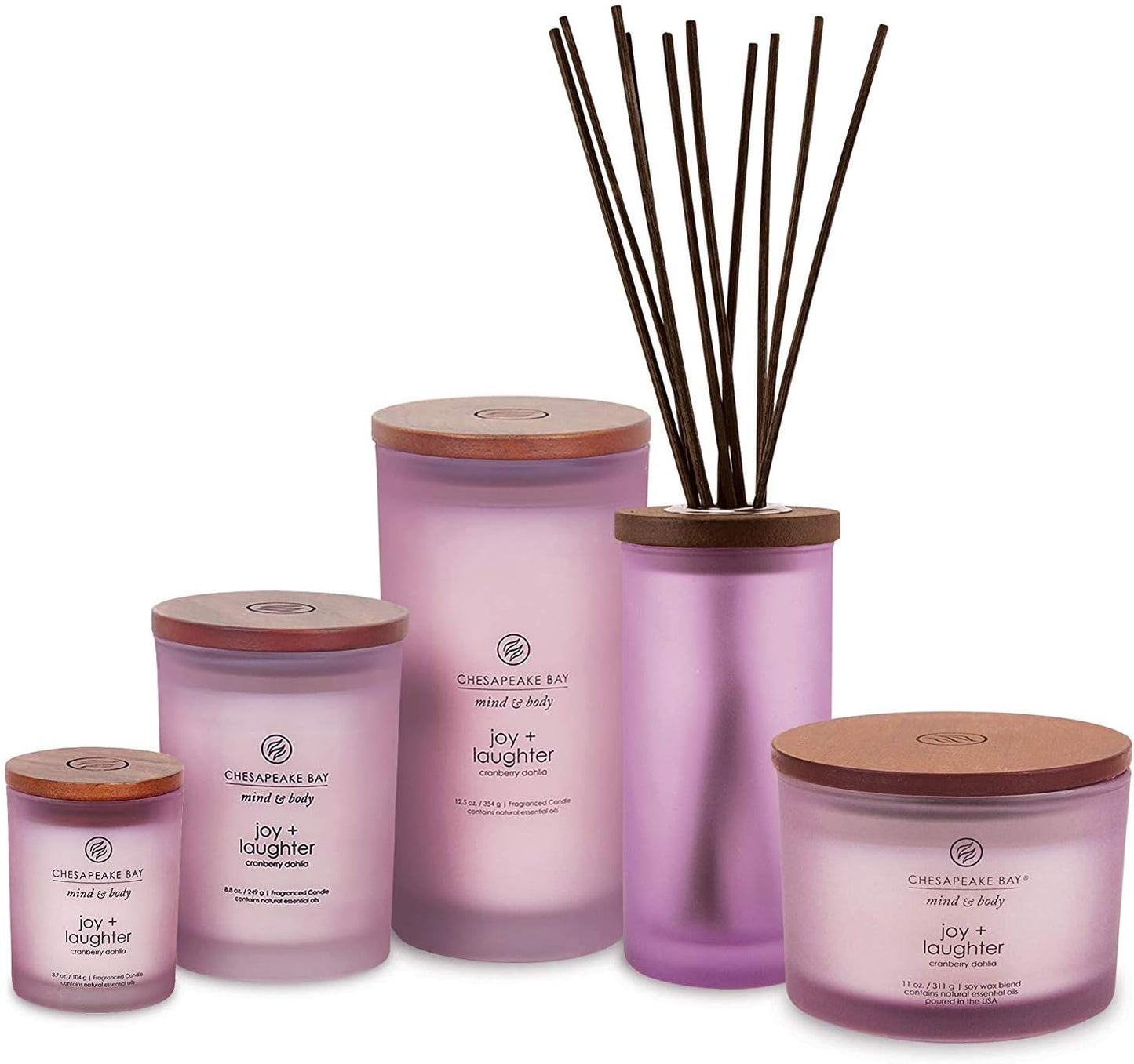 Chesapeake Bay Candle PT40886 Scented Candle Awaken + Invigorate (Lemongrass Eucalyptus) Medium Green Home Décor