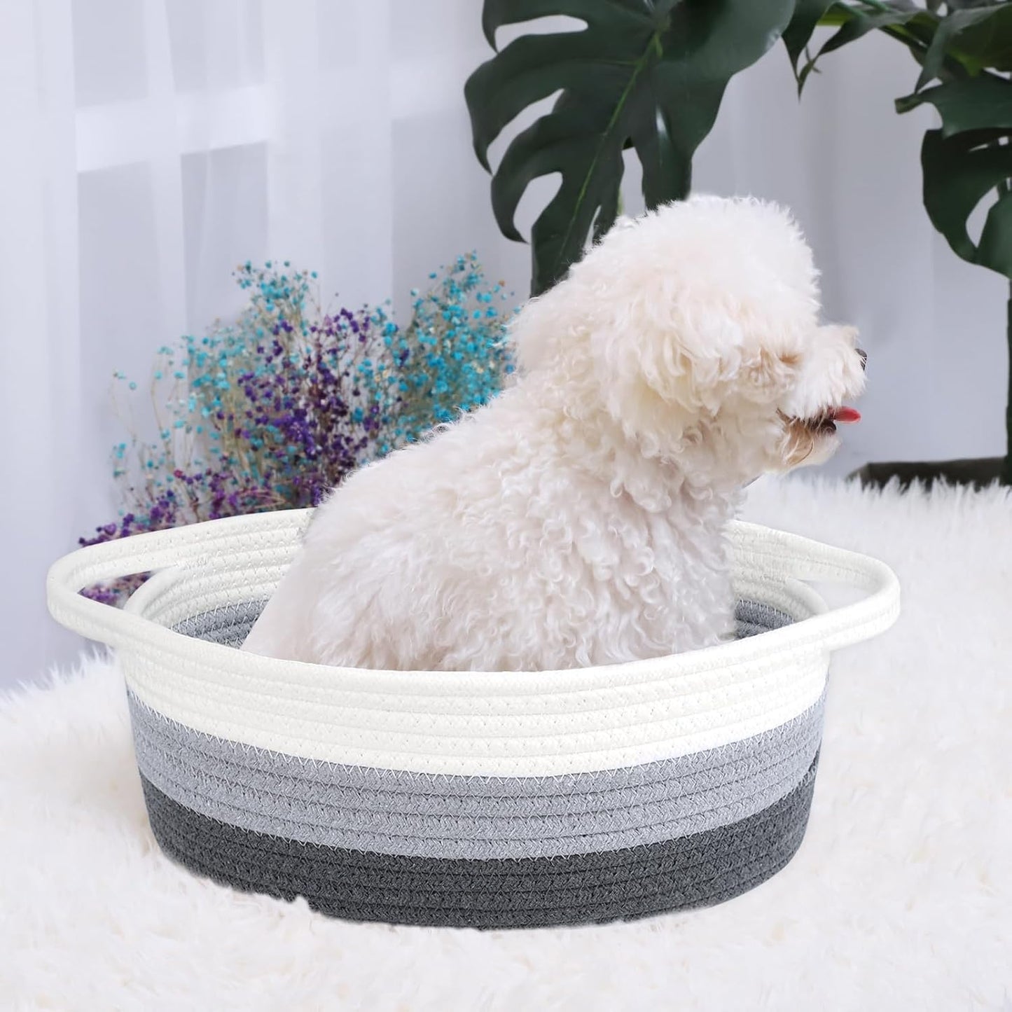 ABenkle Small Basket with Handles, Boho Decorative Rope Woven Dog Cat Toy Storage Bin Shelf Storage Organizer, Easter Christmas Gift Basket, 12"x8"x5", White