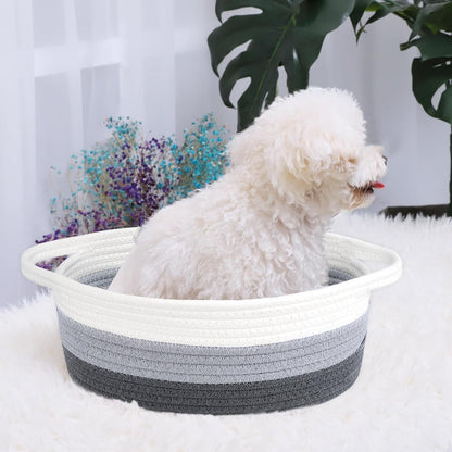 ABenkle Small Basket with Handles, Boho Decorative Rope Woven Dog Cat Toy Storage Bin Shelf Storage Organizer, Easter Christmas Gift Basket, 12"x8"x5", White