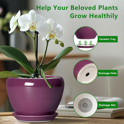 Ceramic Modern Glaze Succulent Planter Pot with Drainage Hole and Saucer 6 Inch Round Flower Plant Pot for Indoor Outdoor Herb Snake Plants
