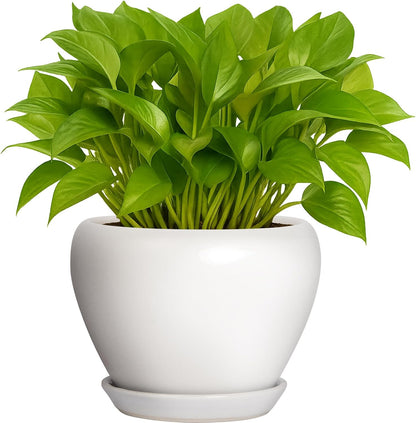 Deep Dream 6 Inch Plant Pots- Ceramic Planter Pot with Drainage Hole and Saucer, Round Flower Pot for Indoor Outdoor Succulent, Snake Plants and Cactus, Blue