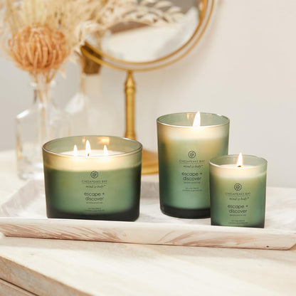 Chesapeake Bay Candle PT40886 Scented Candle Awaken + Invigorate (Lemongrass Eucalyptus) Medium Green Home Décor