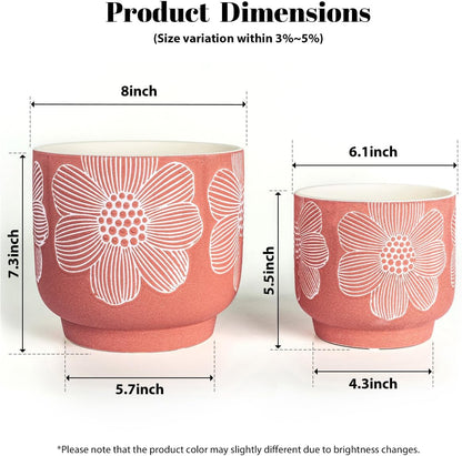 YBX 8 Inch + 6 Inch Ceramic Plant Pots, Succulent Flower Pots with Drainage Holes, Terracotta Planters for Indoor Plants, White&Terracotta (Garden)