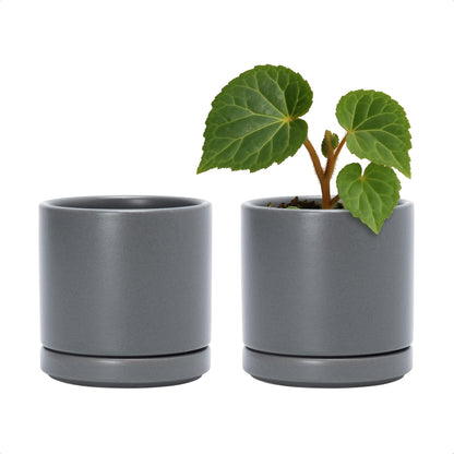 D'vine Dev Set of 2 Plants Pots, 6.5 Inch Ceramic Planter Pot for Plants with Drainage Hole and Saucer, White, 94-V-C-1