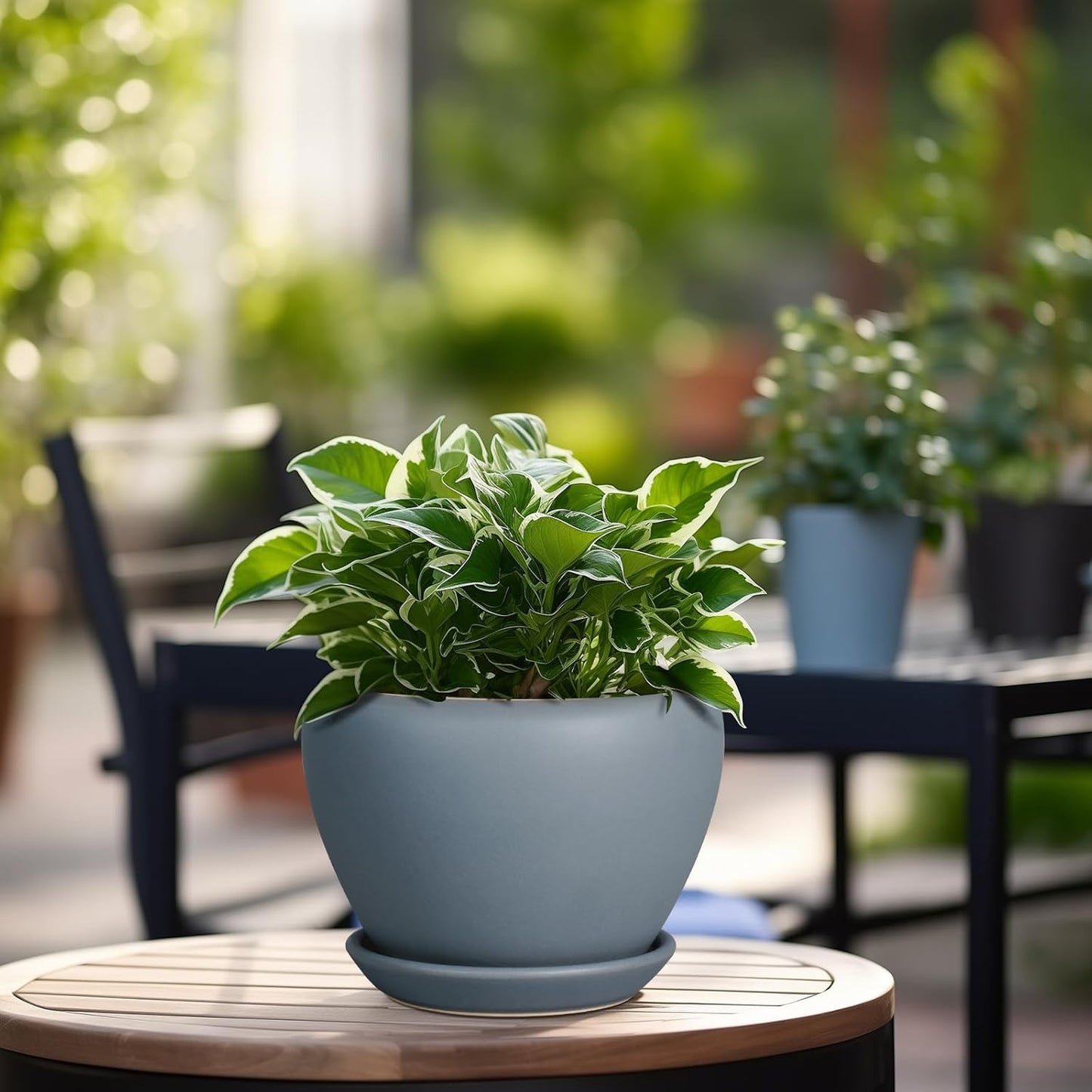 Ceramic Modern Glaze Succulent Planter Pot with Drainage Hole and Saucer 6 Inch Round Flower Plant Pot for Indoor Outdoor Herb Snake Plants