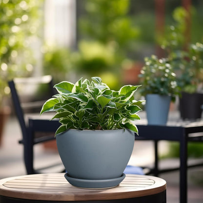 Ceramic Modern Glaze Succulent Planter Pot with Drainage Hole and Saucer 6 Inch Round Flower Plant Pot for Indoor Outdoor Herb Snake Plants