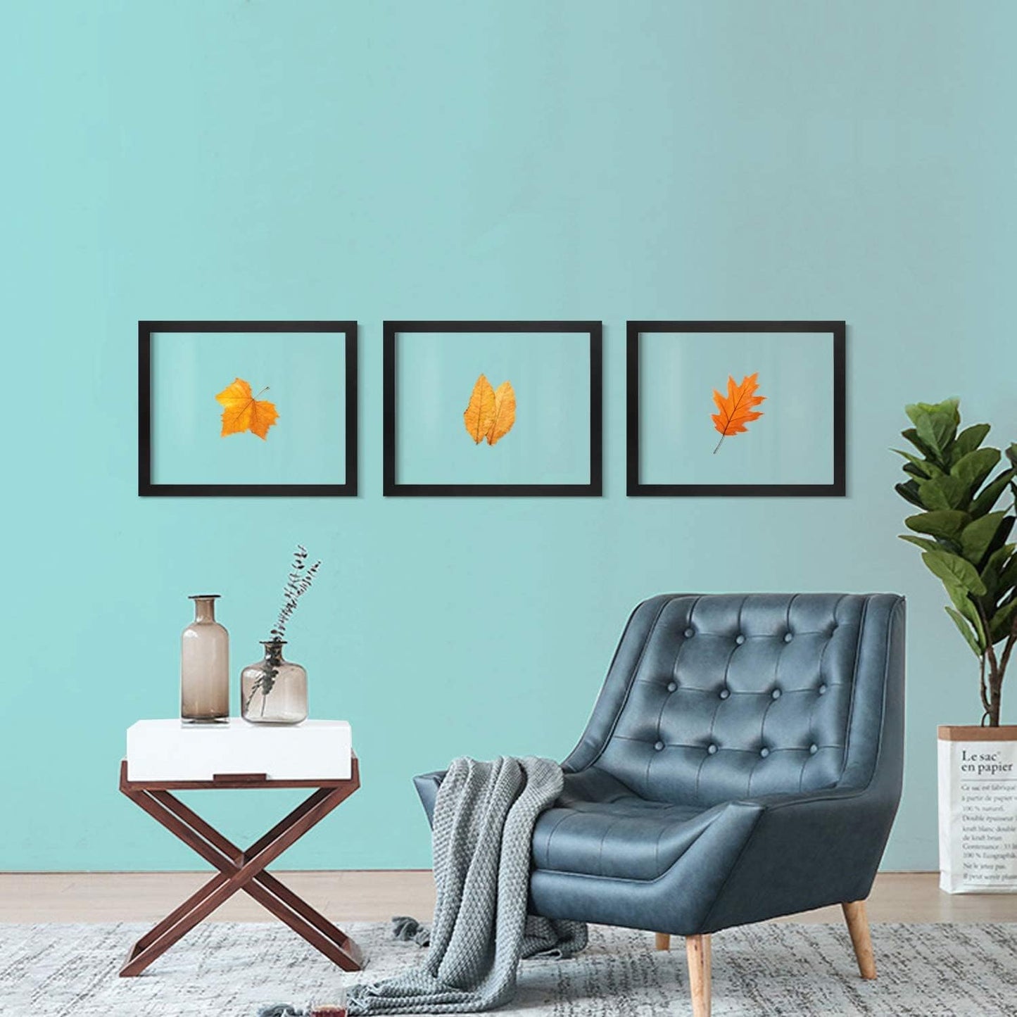 ONE WALL 11x14 Inch Floating Frame, Black Wood Double Glass Float Picture Frame Display 11x14/8x10/5x7 Inch Photos or Plant or Petal Specimens for Wall and Tabletop - Mounting Accessories Included