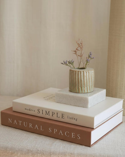 Beautiful Decorative Books - Set of 2 Boxes Enhance Your Coffee Table, Bookshelf or Mantel Shelf Decor - Aesthetic Fake/Faux Books for Modern Home Decoration, Photo Storage and as a Keepsake Box