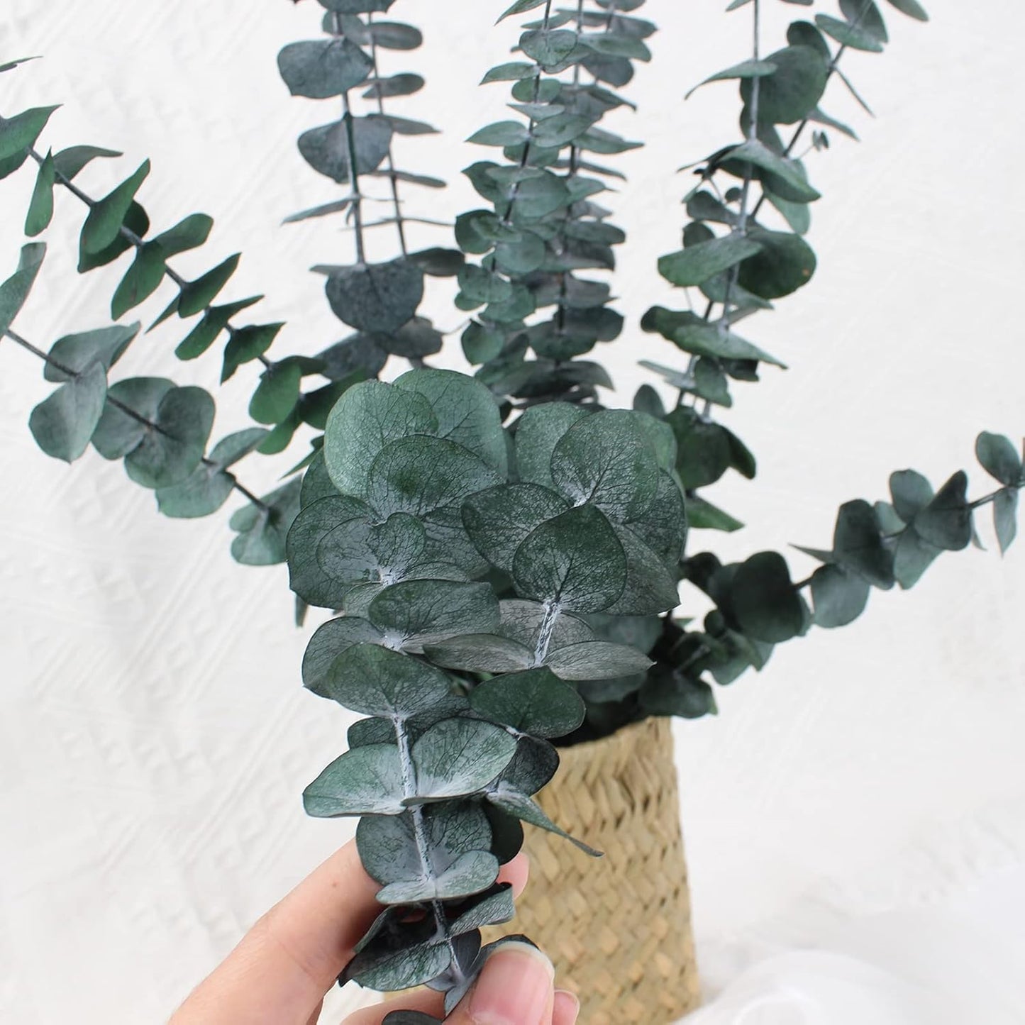 12PCS Dried Eucalyptus Bundle 17'' Real Eucalyptus Stems 100% Natural Fresh Leaves Hanging Plants Greenery Stems for Shower Home Decor Flower Arrangement Wedding