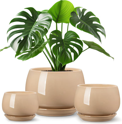 vancasso 3-Pack Ceramic Plant Pots, 3.7/4.8/6.2 Inch Indoor Planters with Saucers & Drainage Hole Planter pots for Indoor Plants and Flower, White