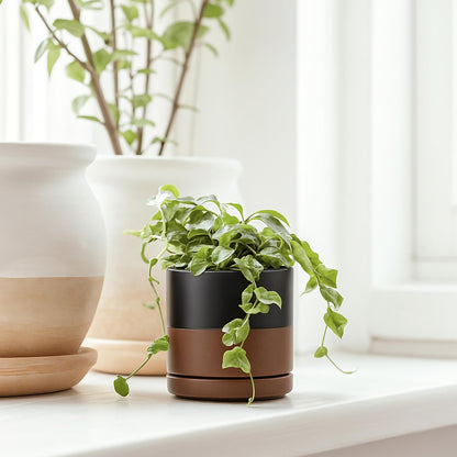 D'vine Dev 6.5 Inch Ceramic Planter Pot with Drainage Hole and Saucer, Indoor Cylinder Round Planter Pot, Olive, 94-O-C-J