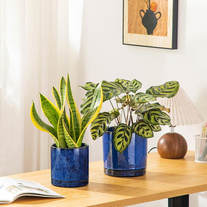 vancasso Ceramic Plant Pots, 3 Piece Planters for Indoor Plants, 4.25+5.25+6.25 Inch Flower Pots with Drainage, Plant Pots Indoor for Succulent, Pothos, Snake Plant and Money Tree, Etc (White)