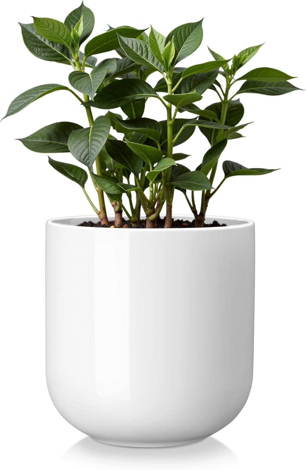 vancasso Ceramic Plant Pots, 4+5+6 inches, Set of 3, Planters with Drainage Hole, Flower Pots Planters Pots for Indoor Plants, Modern Indoor Decorative Garden Pot, Home Decor, White