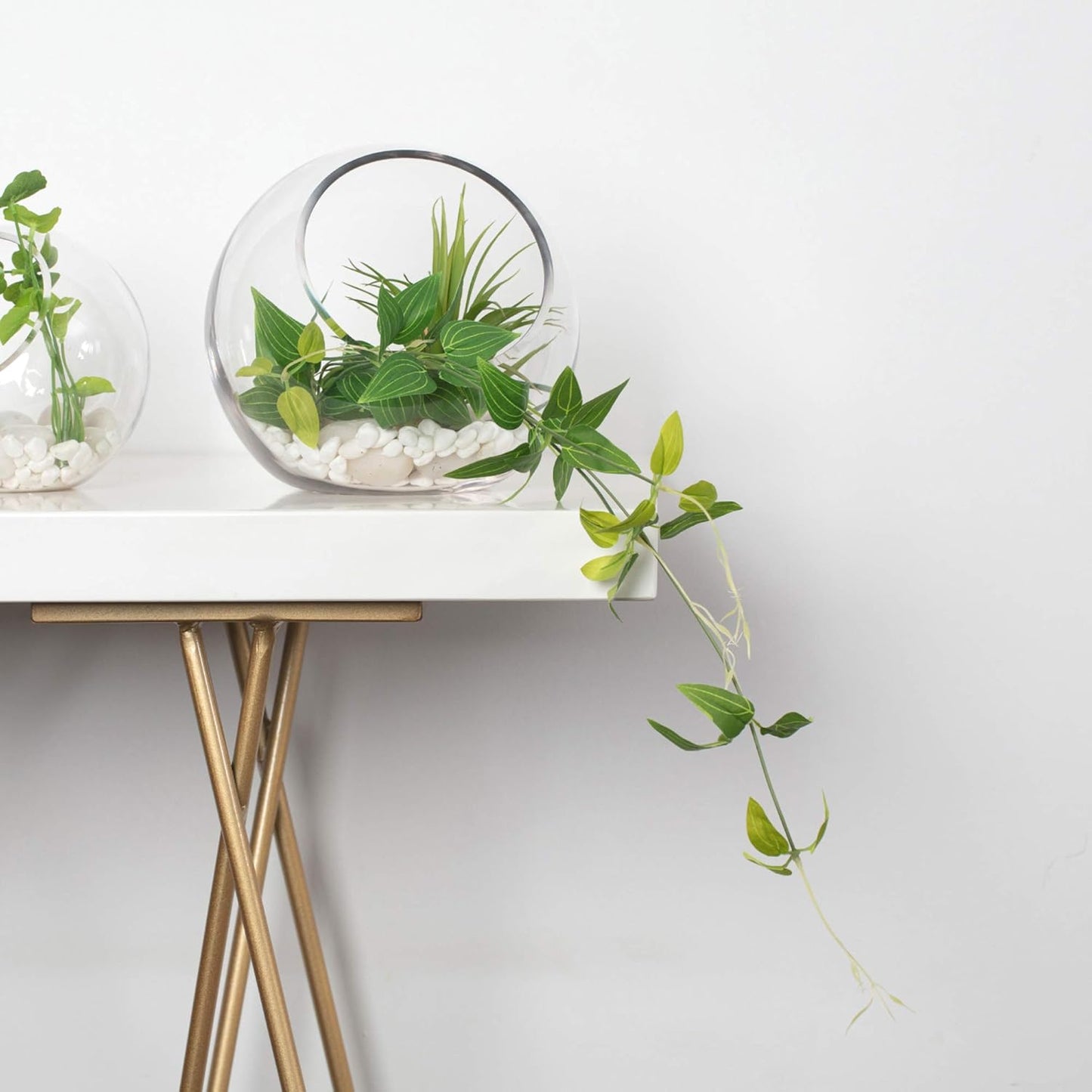 WGVI Clear Slant Cut Bowl Glass Vase, Glass Terrarium, Candy Dish, Glassware, Slant Open: 7". Height: 6" x 2.7". Base: 4" (1 Piece)
