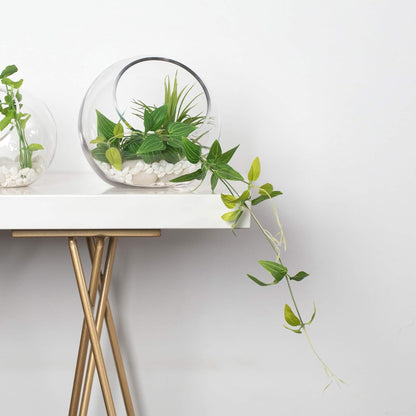 WGVI Clear Slant Cut Bowl Glass Vase, Glass Terrarium, Candy Dish, Glassware, Slant Open: 7". Height: 6" x 2.7". Base: 4" (1 Piece)