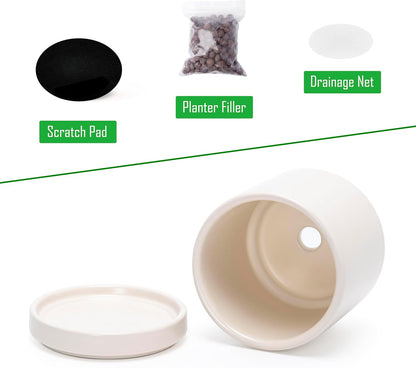 D'vine Dev Set of 2 Plants Pots, 6.5 Inch Ceramic Planter Pot for Plants with Drainage Hole and Saucer, White, 94-V-C-1