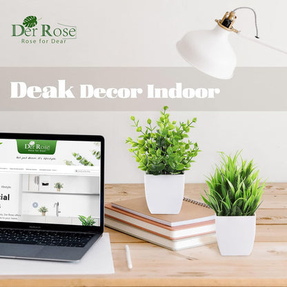 Der Rose 2 Pack Small Fake Plants Mini Artificial Potted Plants for Table Desk Home Laundry Room Bathroom Office Decor