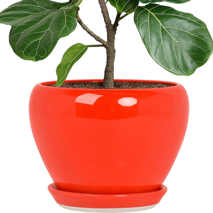 Deep Dream 6 Inch Plant Pots- Ceramic Planter Pot with Drainage Hole and Saucer, Round Flower Pot for Indoor Outdoor Succulent, Snake Plants and Cactus, Blue