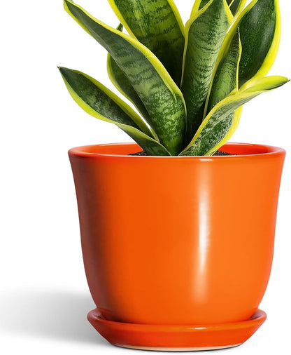 Ceramic Plant Pots - 12 Inch Pots for Plants Indoor Outdoor, Large Round Planter with Drainage Hole and Saucer, Modern Decorative Flower Pot, Home Garden Decor, House Warming Gifts, Blue