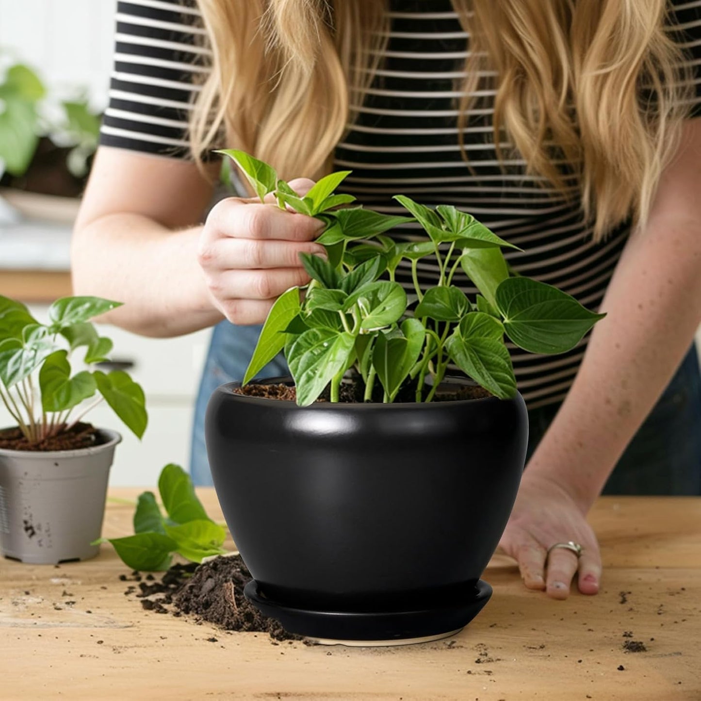Ceramic Modern Glaze Succulent Planter Pot with Drainage Hole and Saucer 6 Inch Round Flower Plant Pot for Indoor Outdoor Herb Snake Plants