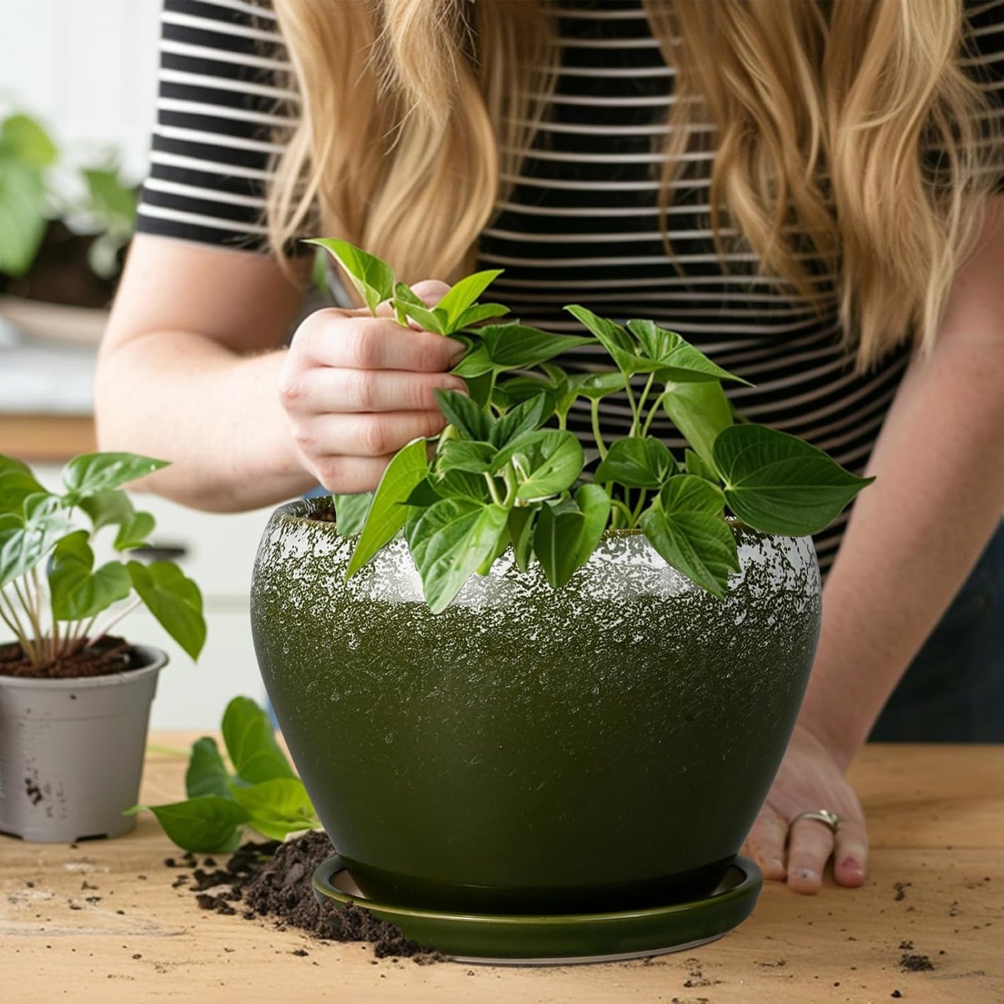 Ceramic Modern Glaze Succulent Planter Pot with Drainage Hole and Saucer 6 Inch Round Flower Plant Pot for Indoor Outdoor Herb Snake Plants