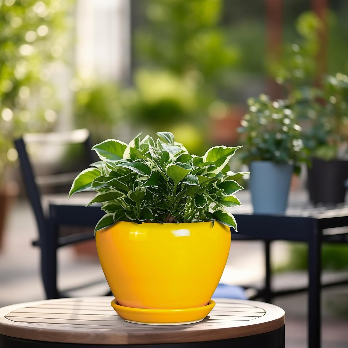 Ceramic Modern Glaze Succulent Planter Pot with Drainage Hole and Saucer 6 Inch Round Flower Plant Pot for Indoor Outdoor Herb Snake Plants