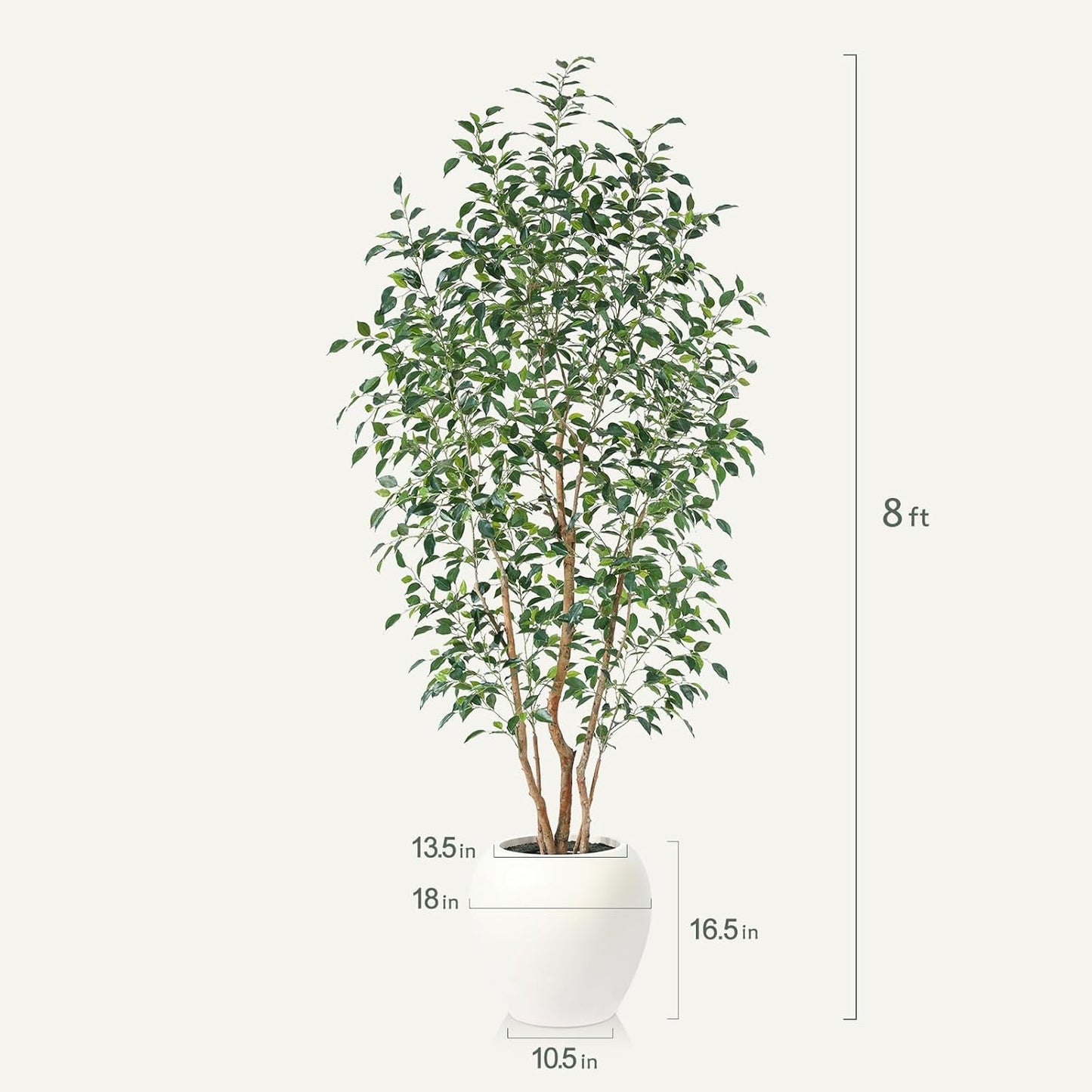 VeriNatural 8FT Artificial Ficus Tree, Indoor Faux Ficus Plant with Realistic Leaves & Natural Wood Trunk, 8ft Tall, Green, All Seasons, Perfect for Living Room Home Decor