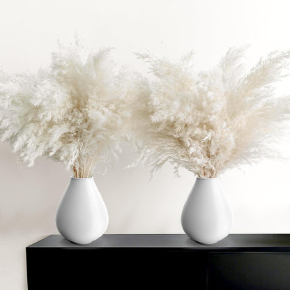 60 PCS Boho Decor, Fluffy Pompas Grass, Natural Dry Pampas Grass Small, Short Pampass Bulk for Boho Room Decor, Coffee Table Decor (17 inch )