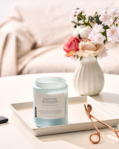 M&SENSE Eucalyptus & Mint Scented Jar Candle, Large 19.4oz Natural Soy Wax, 110-Hour Long Lasting Non-Toxic Clean Burning, Fresh Smelling Home Aromatherapy for Spa Stress Relief, Gifts for Men Women