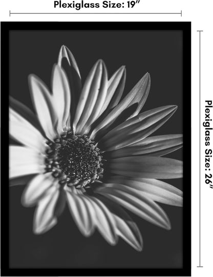 Americanflat 16x20 Picture Frame with Polished Plexiglass - Black Picture Frame - Wide Photo Frames Made of Engineered Wood for Vertical or Horizontal Wall Display - Epic Collection - Black - Colors C