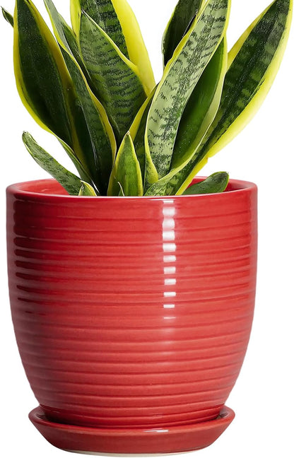 Ceramic Pots for Plants - 6 Inch Plant Pot with Drainage Hole and Saucer, Round Planters for Indoor Outdoor, Flower Pots, Modern Planter, Home Office Room Decor, Gifts for Plant Lovers, White