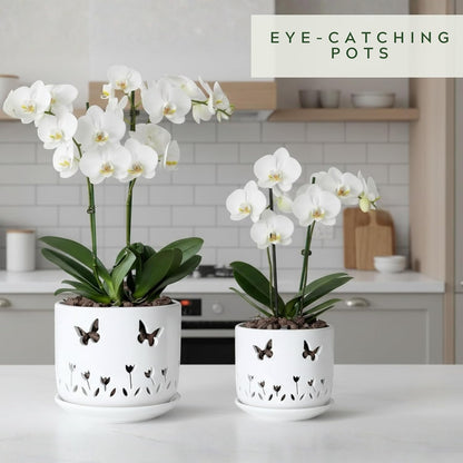 2 Pack, 5 + 6 Inch White Orchid Pots with Butterflies and Tulips Holes and Saucer, Ceramic Orchid Planters for Repotting with Drainage Holes and Tray Indoor Outdoor, Butterfly Gift