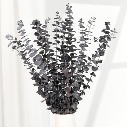 Tavkite 16 Pcs Dried Eucalyptus Stems, 17'' Natural Fresh Eucalyptus Leaves Branches Hanging for Shower, Preserved Real Plant Live Greenery for Home SPA Wall Bathroom Wedding Party Vase Decor