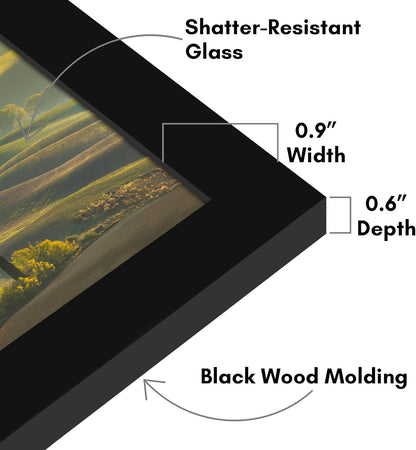 Americanflat 12x18 Poster Frame with Shatter-Resistant Glass - Signature Collection - Gallery-Style Frames Made of Engineered Wood - Photo Frame for Wall Display - Black - Colors B