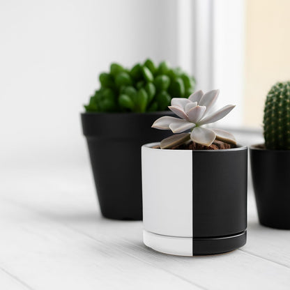 D'vine Dev 6.5 Inch Ceramic Planter Pot with Drainage Hole and Saucer, Indoor Cylinder Round Planter Pot, Olive, 94-O-C-J