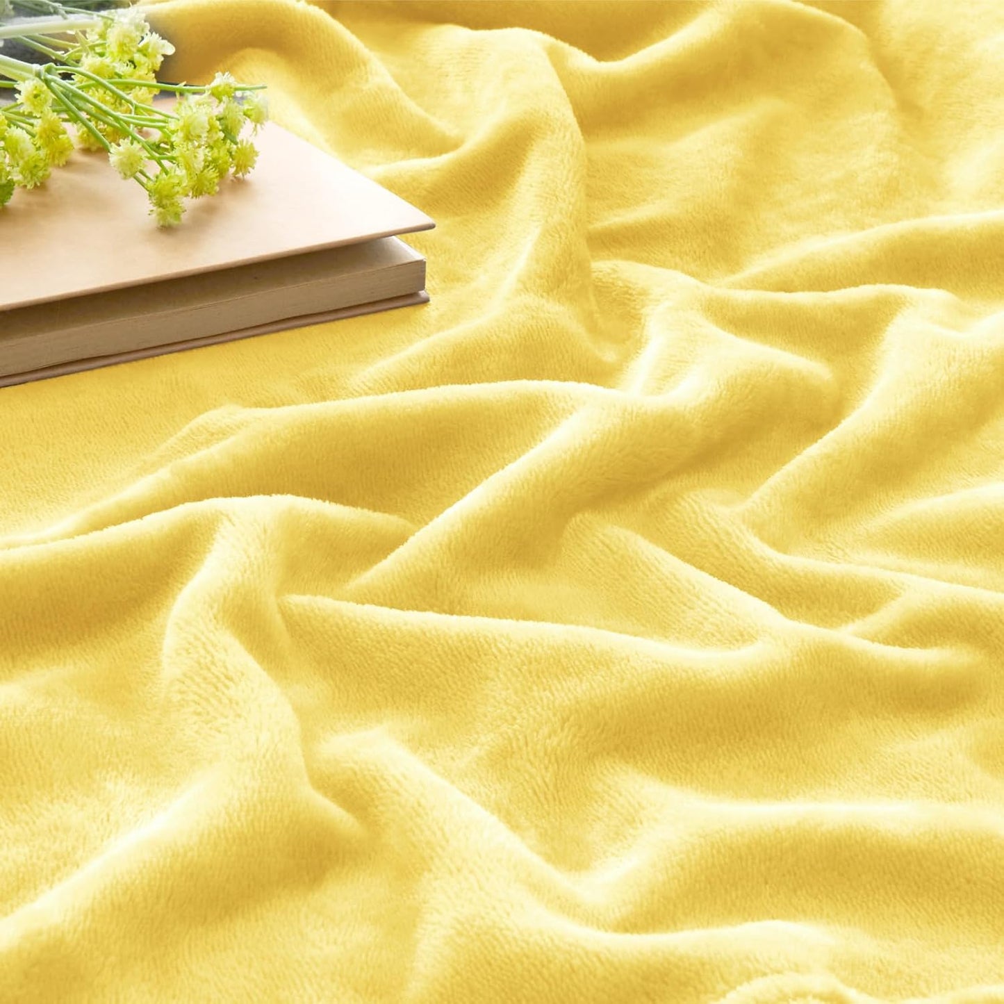BEDELITE Fleece Blanket Black Throw Blankets for Couch & Bed, Luxury Plush Cozy Fuzzy Blanket 50x60 inches, Super Soft Warm Lightweight Throw Blanket for Travel Camping - Colors B