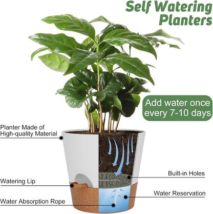 YNNICO Indoor Self Watering Planters with Drainage Holes and Saucers, 8, 7, 6.5, 6, 5.5, 5 Inches, Black, 6 Pots