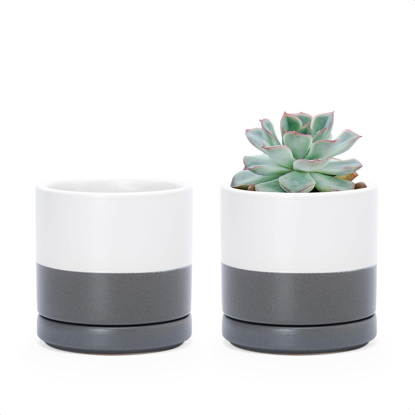 D'vine Dev Set of 2 Plants Pots, 6.5 Inch Ceramic Planter Pot for Plants with Drainage Hole and Saucer, White, 94-V-C-1