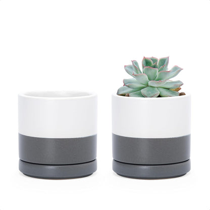 D'vine Dev Set of 2 Plants Pots, 6.5 Inch Ceramic Planter Pot for Plants with Drainage Hole and Saucer, White, 94-V-C-1