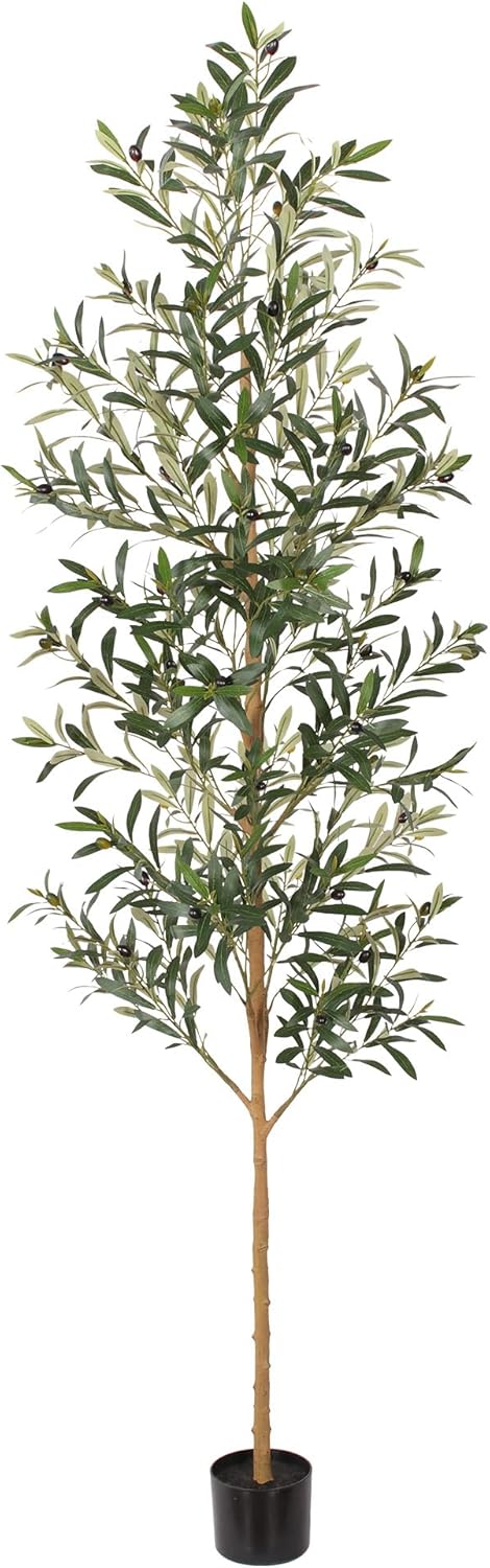 FLOWORLD 6FT Olive Trees Artificial Indoor, Tall Faux Olive Tree 6FT (72in) with Natural Wood Trunk & Realistic Olives, Stable Base, Pet Friendly Artificial Plant for Home Office, Living Room, Outdoor