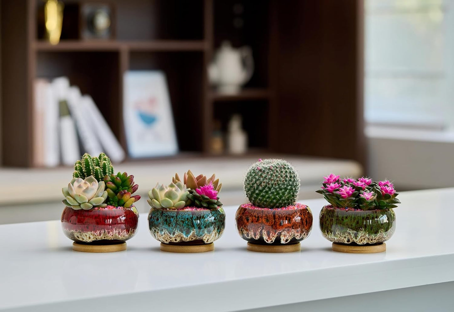 Cute Ceramic Succulent Garden Pots, Planter with Drainage and Attached Saucer, Set of 5 -Plants Not Included (Round)