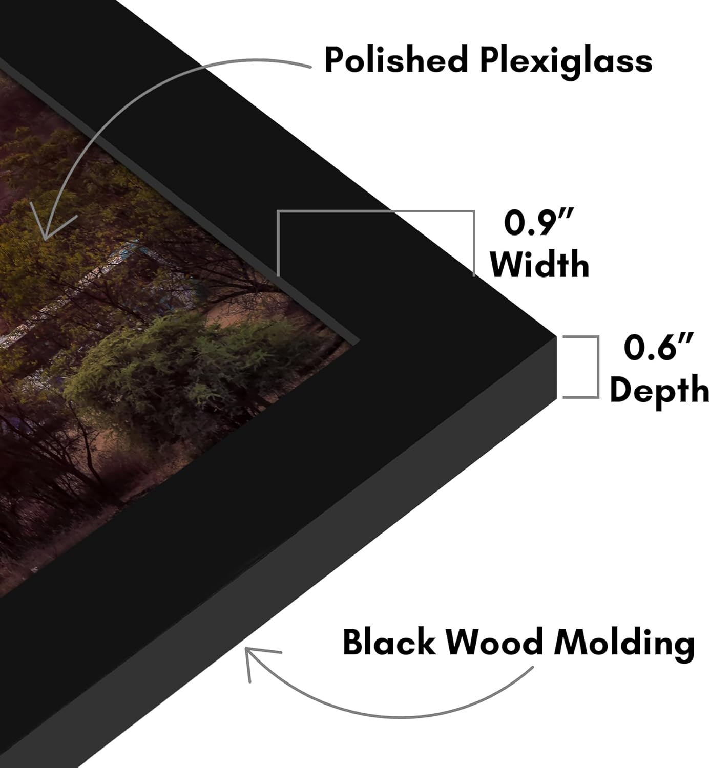 Americanflat 12x18 Poster Frame with Shatter-Resistant Glass - Signature Collection - Gallery-Style Frames Made of Engineered Wood - Photo Frame for Wall Display - Black - Colors C
