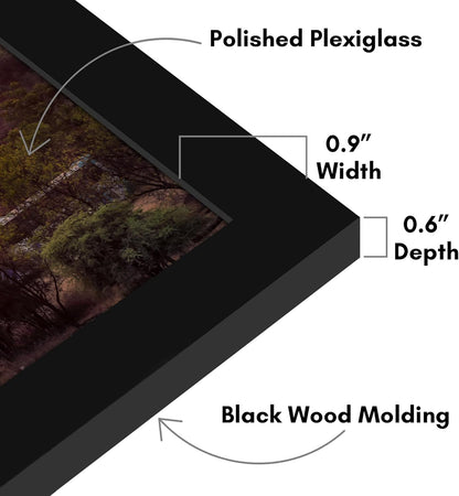 Americanflat 12x18 Poster Frame with Shatter-Resistant Glass - Signature Collection - Gallery-Style Frames Made of Engineered Wood - Photo Frame for Wall Display - Black - Colors C