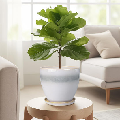 10 Inch Ceramic Planter Pot Round Plant Pot for Indoor Plants Outdoor Large Flower Pot with Drainage Hole and Saucer Blue