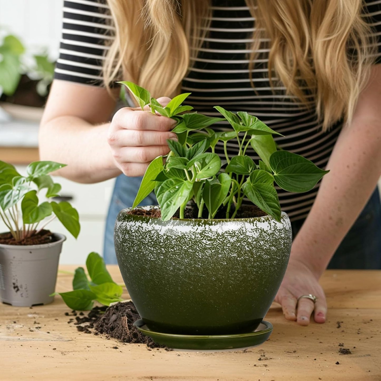 Ceramic Modern Glaze Succulent Planter Pot with Drainage Hole and Saucer 6 Inch Round Flower Plant Pot for Indoor Outdoor Herb Snake Plants