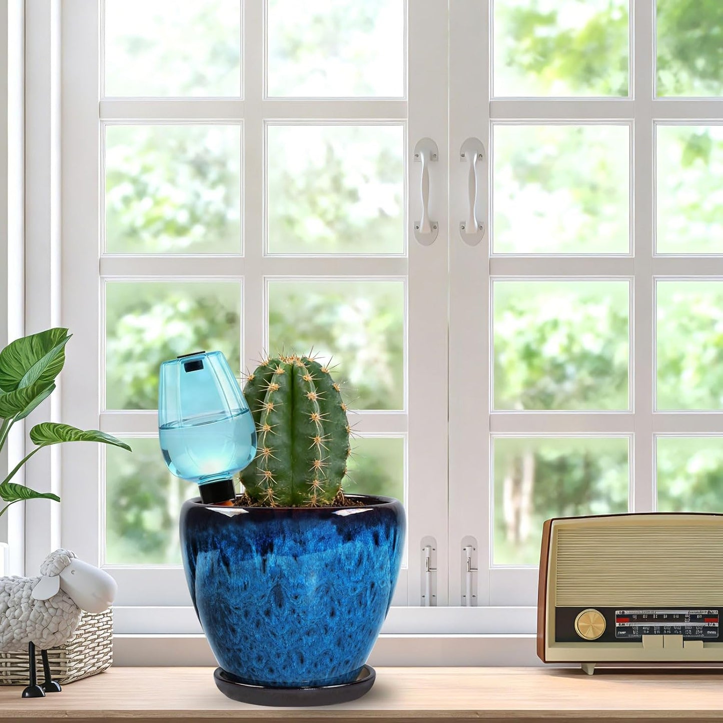 Ceramic Plant Pots with Saucer, 6 inch Glaze Planters for Indoor Plants with Drainage Holes, Decorative Small Flower Pots Outdoor, Modern Succulent Pots for Home Room Decor