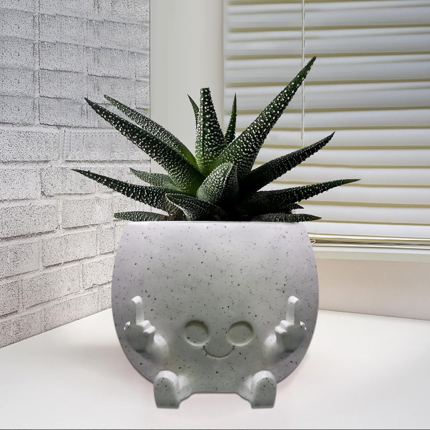 Smiling Plant Pot with Middle Fingers Up, Face Planter Pot Resin Flower Planters for Indoor Outdoor Plants Succulent Pots for String of Pearls Plant Live Gift Ideas for Mother (White)