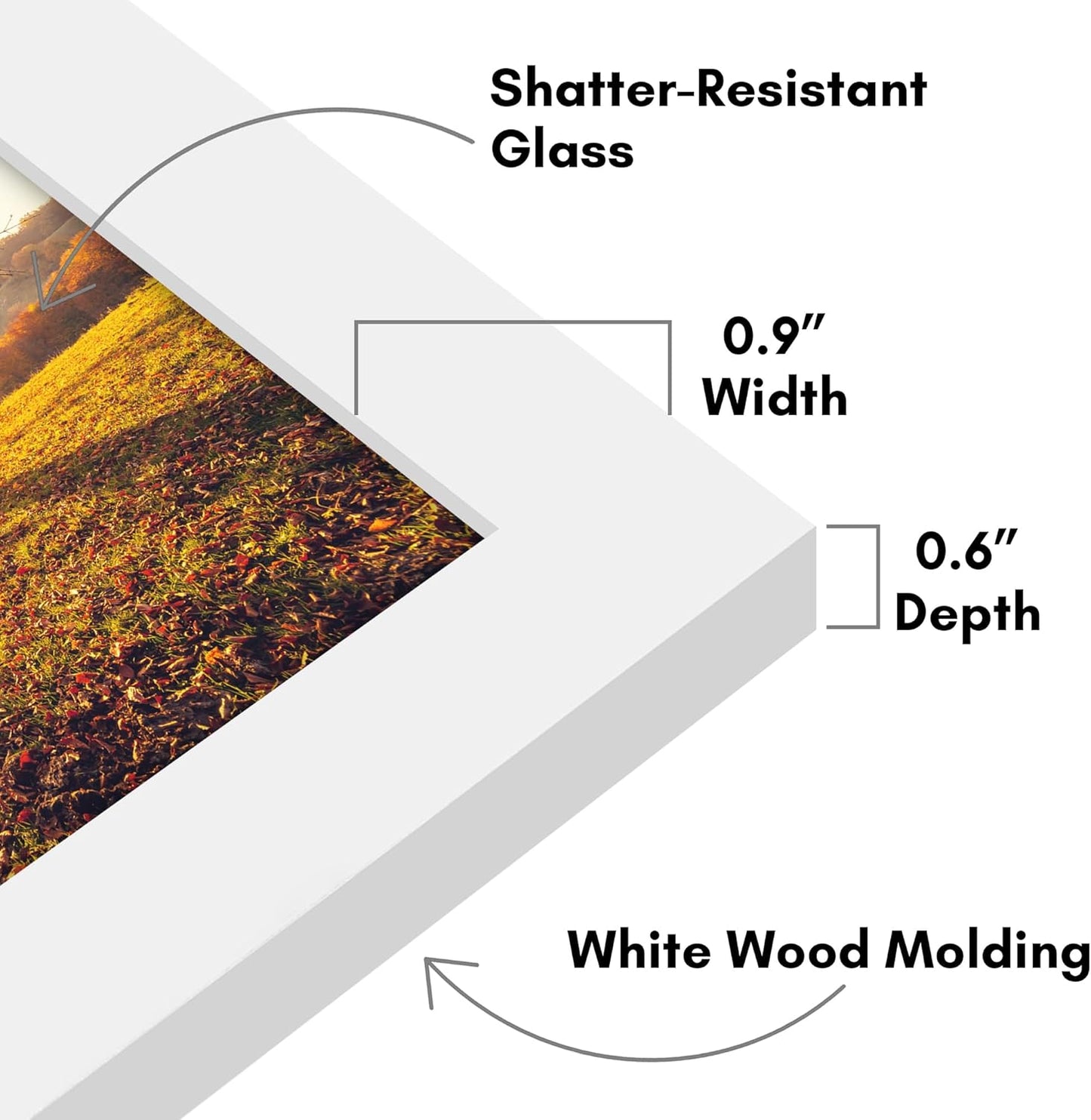 Americanflat 12x18 Poster Frame with Shatter-Resistant Glass - Signature Collection - Gallery-Style Frames Made of Engineered Wood - Photo Frame for Wall Display - Black - Colors B