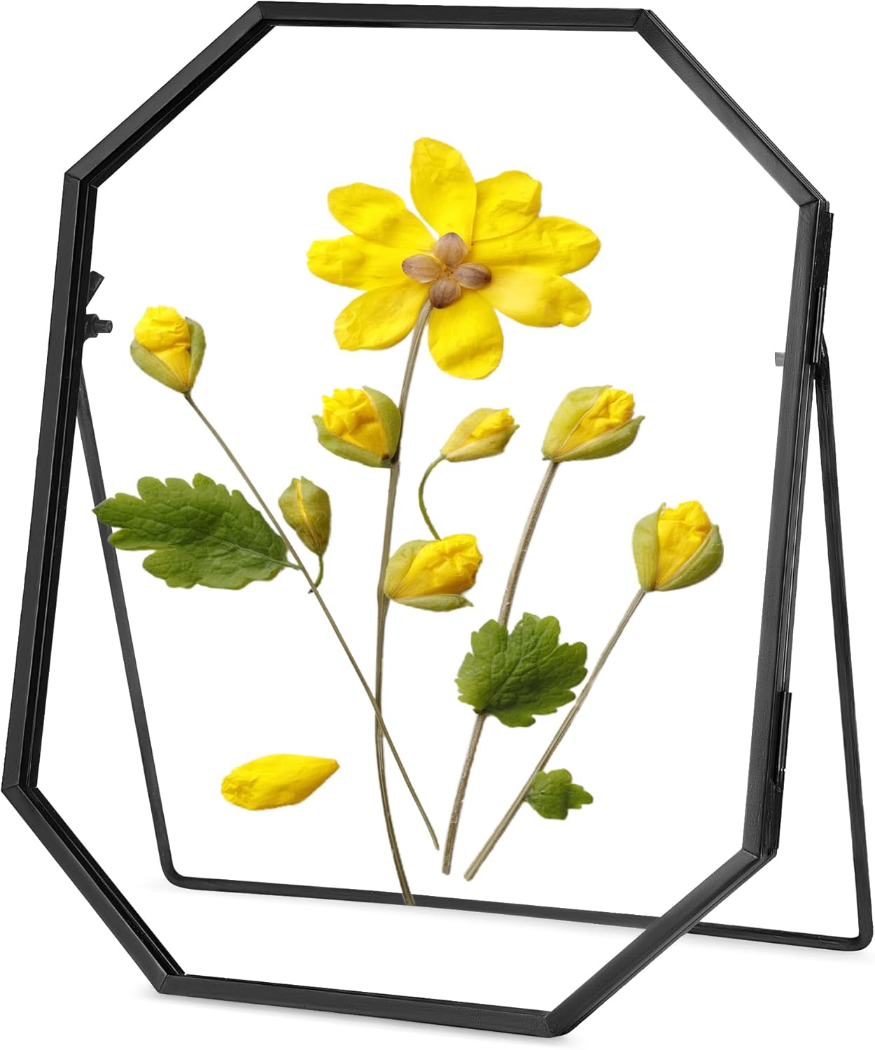 REDHUGO Glass Pressed Flower Frame Handmade, Metal Floating Picture Frame, Double Glass for Tabletop Display, Unique Brass Octagon, Gold, 5x7 Inches (Frame Only)